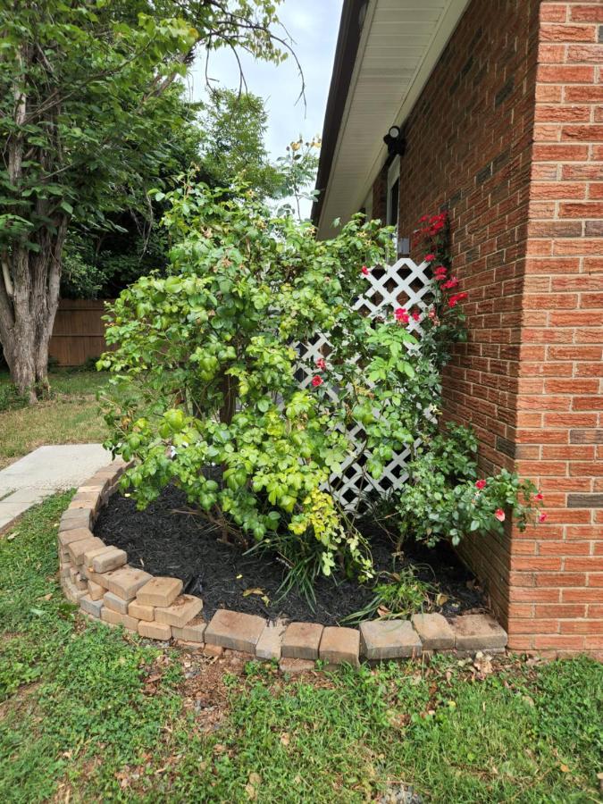2Br 1Ba Duplex House King Beds Great For Small Groups Close To All Uptown Charlotte Attractions Eksteriør billede